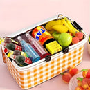 Collapsible Picnic Essentials Bag