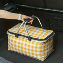 Collapsible Picnic Essentials Bag